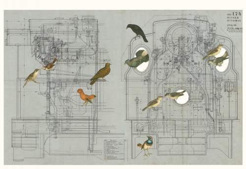 Dens In The Plans Block No 1 83x136cm2
